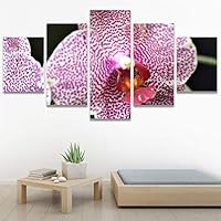 SIGNWIN 5 Panel Canvas Wall Art Flora Snapshot for Home Decorations Ready to Hang - 60