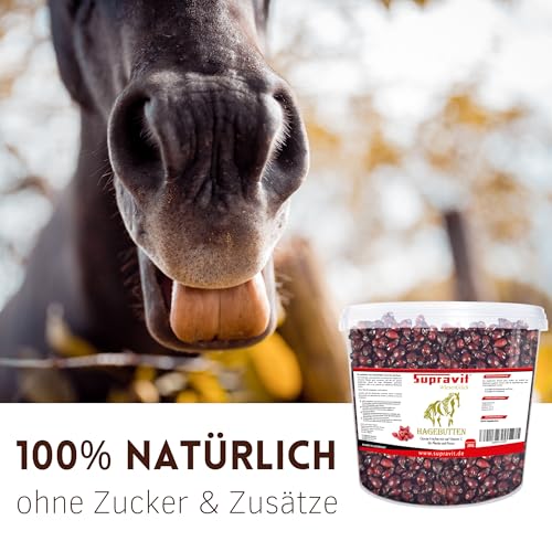 Supravit Hagebutten Pferd | Mit viel Vitamin C für Pferde und Ponys | 2kg Eimer I Ganze getrocknete Früchte - natürliche Pferdeleckerlis ohne Zucker | Erstklassige Qualität