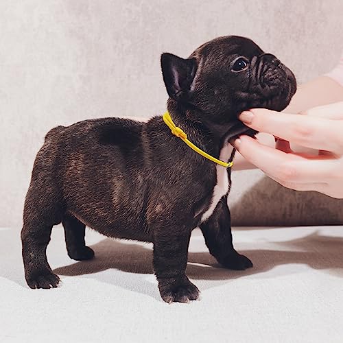 JJWNML 16pcs Welpen ID Halsbänder, Neugeborene Kätzchen, weiche Polyester Halsbänder Einstellbare Bands Identifikation Welpen Halsband für Neugeborene Haustier, Multi Coloured (L,17-28CM)