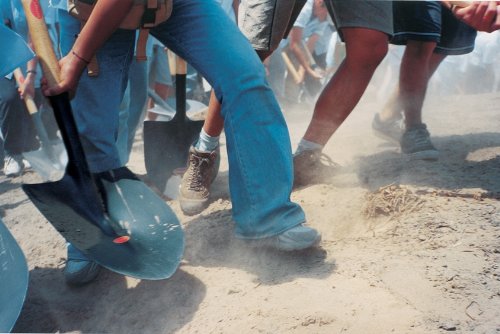 Francis Alys: a Story of Deception