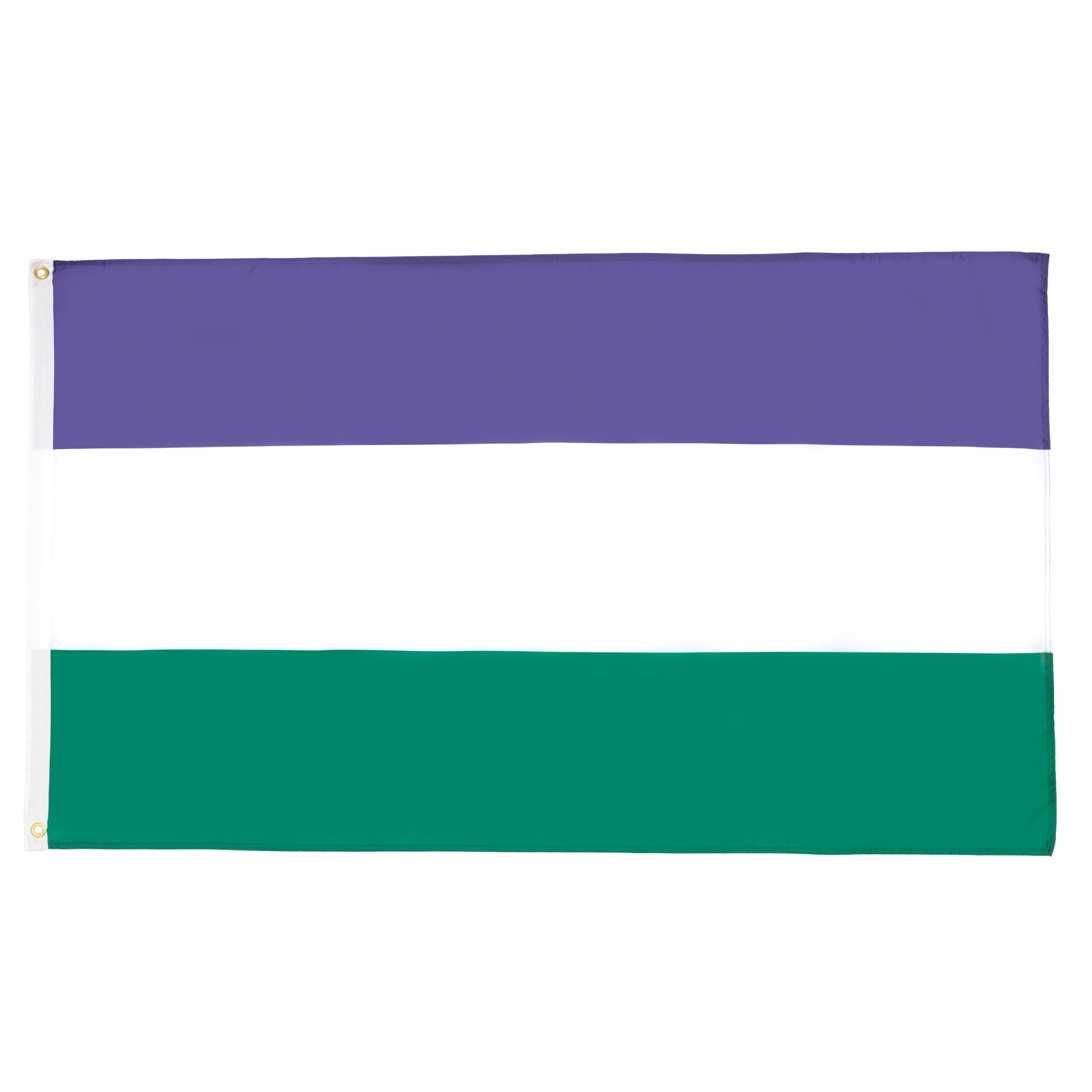 AZ FLAG Suffragette Flag 90x60 cm 100D Polyester 2 Grommets