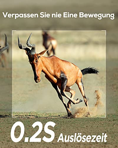 iZEEKER Wildkamera Ohne WLAN, Wildtierkamera mit 940nm No Glow Infrarot LEDs, Wildkamera mit...