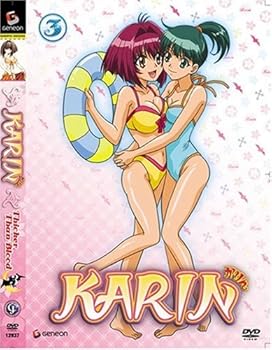 DVD Karin Volume 3: Thicker Than Blood Book