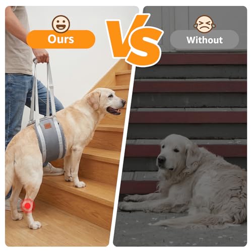 Image of Adjustable Dog Lift Harness Dog Sling for Large Dogs Hind Leg Support Soft Lift Support for Weak Rear Legs, Helps Senior, Injured, Disabled, After ACL Surgery Dogs (Grey&Grey, Large)