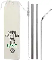 Kit 5 em 1-3 Canudos de Inox + Escova + Ecobag
