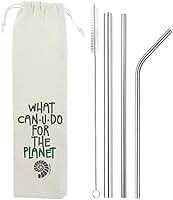 Kit 5 em 1-3 Canudos de Inox + Escova + Ecobag
