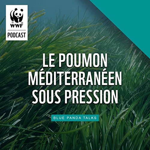 Le poumon de la Méditerranée sous pression