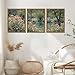 Framed Monet Wall Art Set of 3, Impressionist Botanical Floral Canvas Wall Decor, Vintage Cottagecore Artwork Paintings, Nature Landscape Flowers Prints Pictures for Living Room Bedroom 12x16 Inch