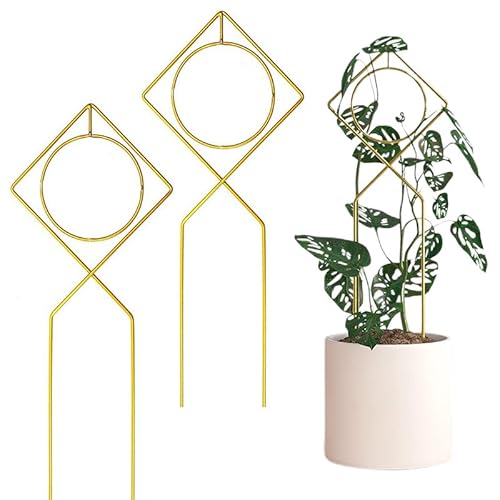 2 Enrejados para Plantas de Interior para Plantas Trepadoras, Estaca de Soporte de Metal para Plantas Trepadoras de Interior, Filodendro y Enredaderas, Potos, Monstera,