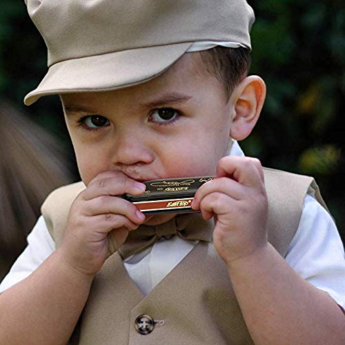 Diatonic Blues Harmonica 10Holes Blues Harmonica 20Tones 008K With Case，More Professional Harmonica For Beginner Students Adults And Professional Player (Paddy Key Of B) #TOP6