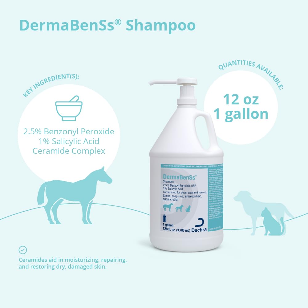 DermaBenSs Shampoo for Dogs, Cats and Horses, Gallon