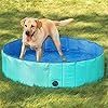Forever Speed Hondenzwembad, Doggy zwembad, kattenzwembad, opvouwbaar zwembad, kinderbadkuip, milieuvriendelijk PVC, antislip, goed afgedichte huisdieren, cadeaus voor kinderen (3 maten), 160x30cm,Groen