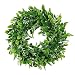 Adeeing Round Wreath Artificial Wreath Green Leaves for Door Wall Window Decoration - Wedding Party Christmas Décor - 11 Inches