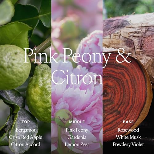 Image of Antica Farmacista Room Spray - Elegant House Spray - Long-Lasting, Room Fragrance - Luxury Gift for Housewarming - Pink Peony & Citron, 3.4 fl oz