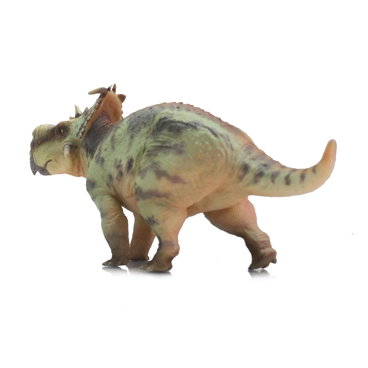 AMITD Pachyrhinosaurus (GuoSheng)