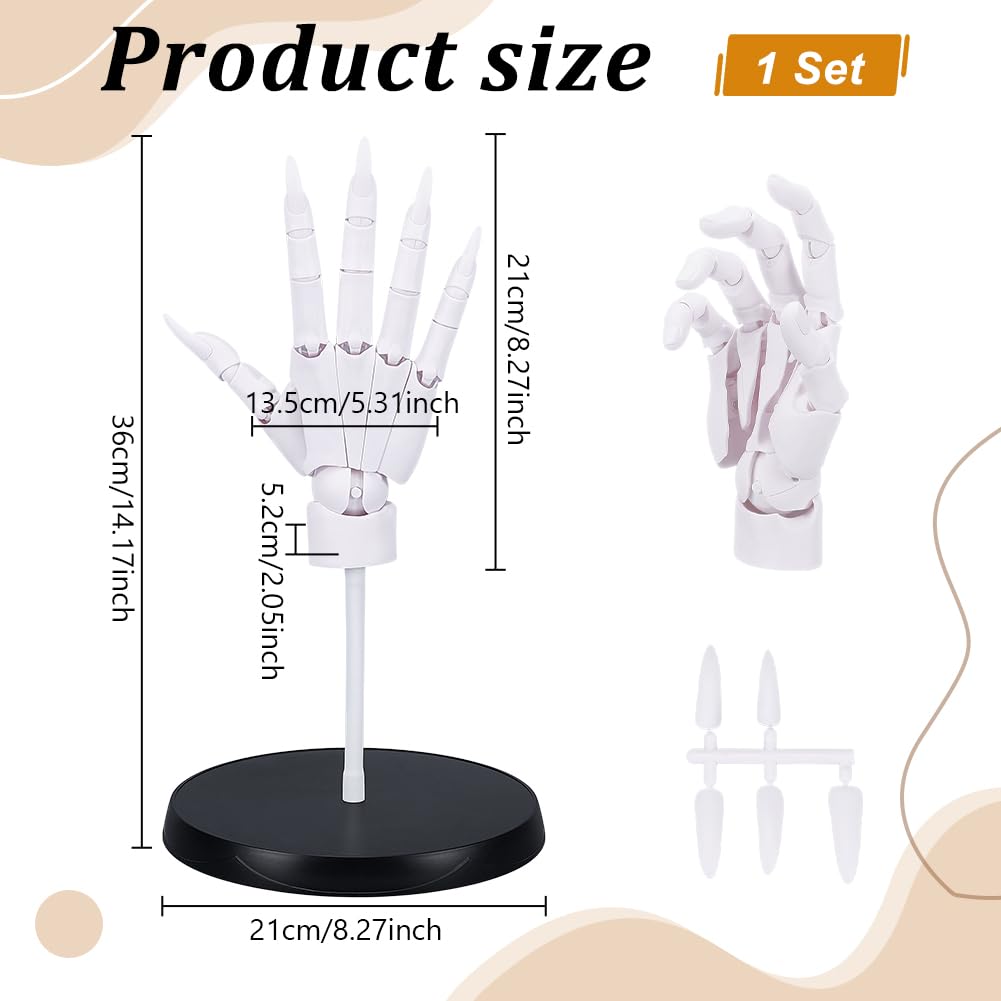 UNICRAFTALE Figure de Main Flexible en Plastique avec Articulations pour Artistes Mannequin de Dessin avec Base Ronde Modèle de Main Blanc pour Esquisser Peinture Décor de Bureau Domestique 21x36cm