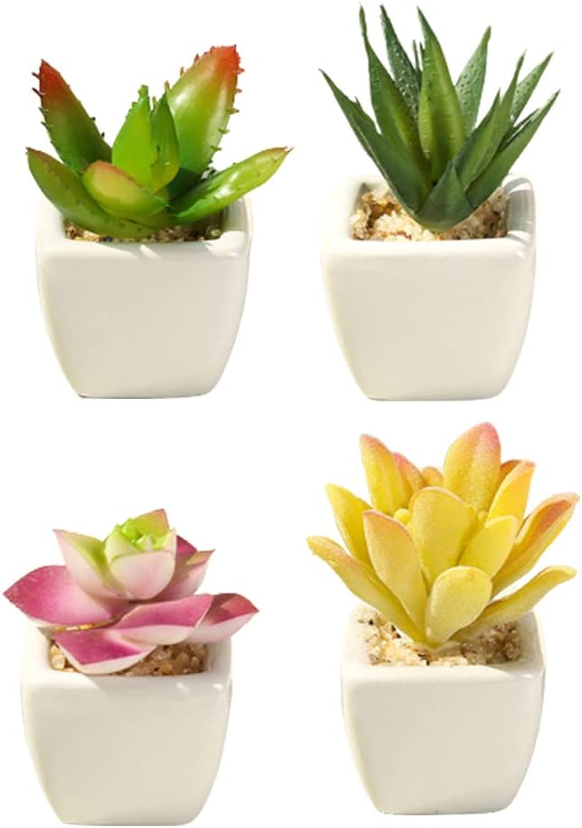 Mi Ya フェイクグリーン 造花 人工観葉植物 サボテン 観葉植物 ギフト お世話のいらない オフィス飾り 寄せ植え インテリア飾り 可愛い贈り物ユーカリ 人工多肉植物 4点セット インテリアグリーン プラスチック製 Mi Ya フェイクグリーン 造花 人工観葉植物 サボテン 観葉植物 ギフト お世話のいらない オフィス飾り 寄せ植え インテリア飾り 可愛い贈り物ユーカリ 人工多肉植物 4点セット インテリアグリーン プラスチック製
