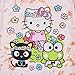 Hello Kitty Flower Power Women's Cloud Wash Crew Neck Short Sleeve T-Shirt-Medium