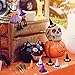 36 Pieces Mini Halloween Witch Decorations Include 18 Mini Felt Witch Hats Wine Bottle Covers Toppers with Ribbon and 18 Mini Witch Straw Broom with Red Ropes for Halloween Party Supplies Accessories
