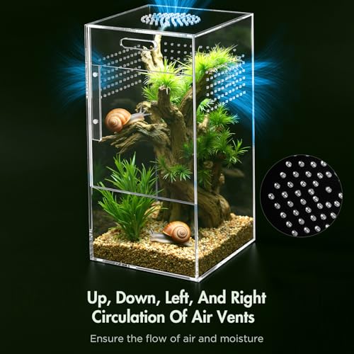 Image of Pre-Assembled Jumping Spider Enclosure, Acrylic Terrarium with Magnetic Door & All-Side Ventilation, Habitat for Spiderling, Mantis, Tarantula, Snail (5 inchx5 inchx10 inch)
