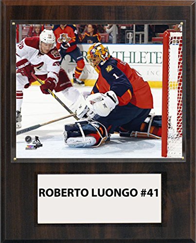 NHL Florida Panthers Roberto Luongo Player Plaque, 12 x 15-Inch