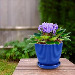 Flower Pot, 7.5/6.6/5.8/5.0/4.3/3.5 inches, 6pcs Plastic Flower Pot, Indoor/Outdoor Home Decoration Flower Pot, Thick and Durable, pots for Plants with Drainage Holes and Trays Flower Pot 756658504335 inches 6pcs Plastic Flower Pot IndoorOutdoor Home Decoration Flower Pot Thick and Durable pots for Plants with Drainage Holes and Trays