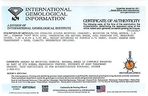 Ian And Valeri Co. Amber Sterling Silver Flaming Sun Leverback Earrings #TOP3