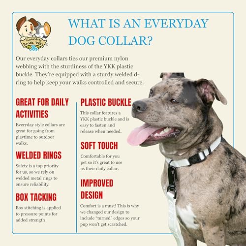 Collar de nylon para perro Country Brook, grande, blanco, 1 pulg miniatura 5