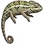 Chameleon