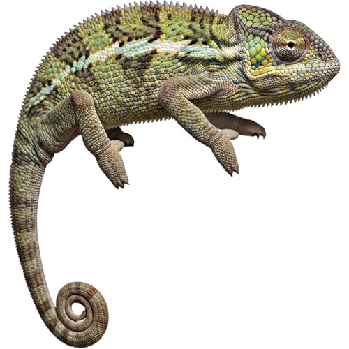 Image of Chameleon 1FT Life Size Cardboard Cutout, Animal Standup, 1 PC | Standee for Birthday Parties, Party Decorations, Event Backdrop, Photo Booth Selfie Prop, Themed Celebrations, Holiday Decor.