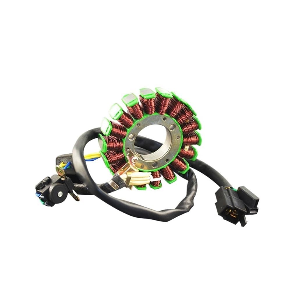 Bobine d'allumage de précision et stator robuste pour moto DF200 et DR200 - 5