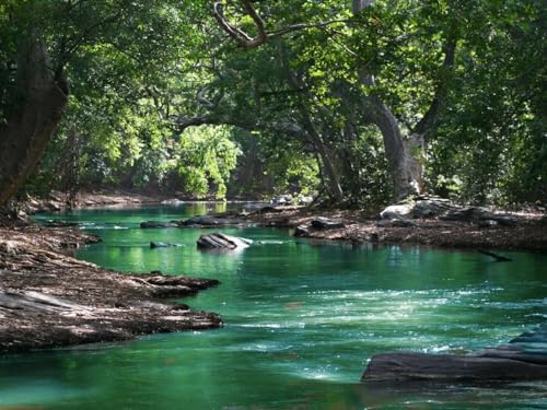 The Wilderness of Waiting - Part III