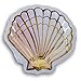 Disposable Cake Plates with Gold Foil Lining - Seashell - 8 Count - Perfect for Summer Parties
