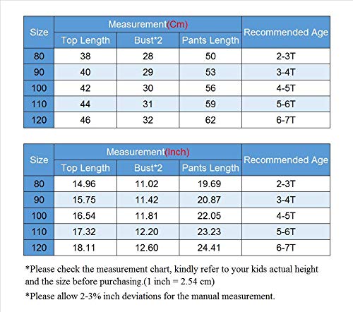 Goocheer Toddler Girl Clothes Floral Long Sleeves Hoodie And Pant Set Toddler Girl Spring Fall Winter Outfit Clothing (Floral, 3-4T) #TOP6