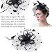 Sombrero Pluma Malla,INTVN Sombrero Tocado Pelo Elegante Pluma Clip Hat Boda Coctel...