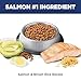 Hill's Science Diet Sensitive Stomach & Skin, Kitten, Stomach & Skin Sensitivity Support, Dry Cat Food, Salmon & Brown Rice, 3.5 lb Bag