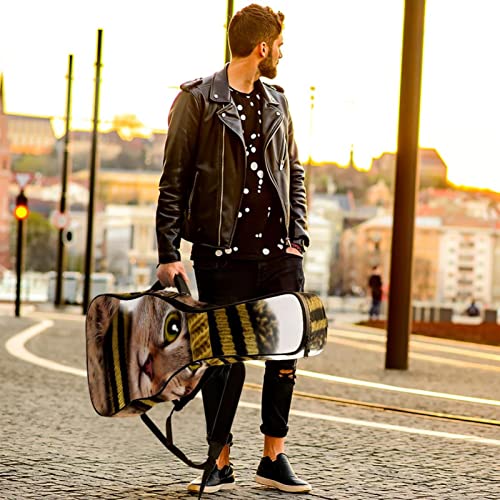 Housse imperméable pour guitare acoustique avec double bandoulière et poche Style hamster mignon, Multicolore 07, 42… - Les Beatles, Paul McCartney, John Lennon, RIngo Starr, George Harrison Housse imperméable pour guitare acoustique avec double bandoulière et poche Style hamster mignon, Multicolore 07, 42… – Image 7