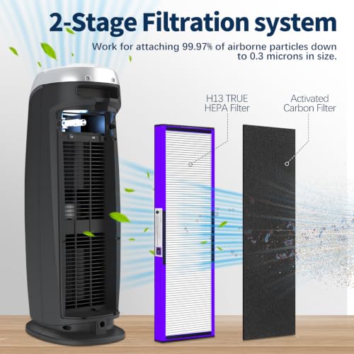 Image of FLT5250PT Filter C Replacement Filter for Germ-Guardian