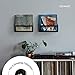 Hudson Hi-Fi Vinyl Display Holder - 2 Pack Record Display Shelf - Solid Steel Wall Mount & Record Display, Quick Access Vinyl Record Wall Mount - Record Shelf, Fits 25 LPs, Black Satin