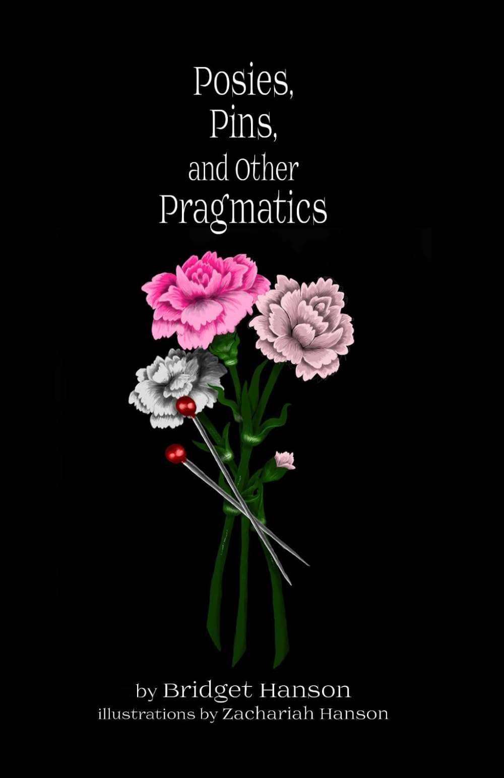 Posies, Pins, and Other Pragmatics: Original Poems by Bridget Hanson Tirrell