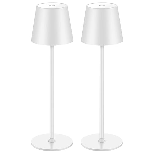 BGFHome 2Pack Cordless Table Lamp LED Desk Lamp,5000mAh Rechargeable Touch