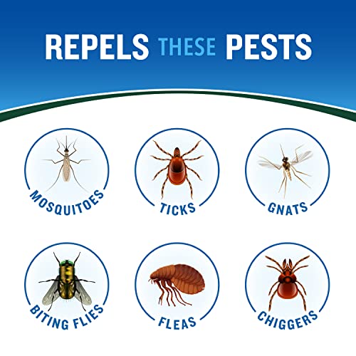 Cutter Backwoods High DEET Insect Repellent 11 oz, Aerosol, with 40% DEET - Thumbnail 5