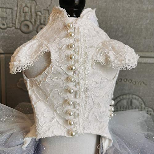 Fegoclt Handmade Dog Clothes Dog Dress Fairy-Tale White Lace Gray-Blue Gradient Tulle Skirt Chapel Train Pet Trailing Gown (Size : Xx-Large) #TOP4