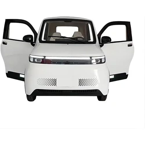 Roadmaster X-1200: Enclosed Two-Seater Electric Mobility Scooter with 4 Wheels and 750 Lbs Load Capacity
