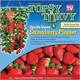 Allstar Marketing TT041112 Topsy Turvy Strawberry Planter
