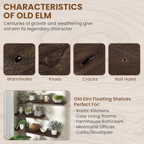 Image of Fun Memories 40 inch Elm Wood Floating Shelves for Wall, Walnut Finish, 1 Pack