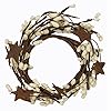 CWI Gifts Pip Twig Star Wreath Rings Decorative Candle Rings Candle Rings for Pillars Farmhouse Candle Rings Perfect Winter Wreaths for Candles Ivory 6 x 2