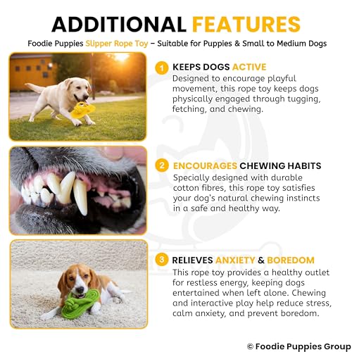 Image of Foodie Puppies Durable Cotton Rope Chew Toy for Dogs | Chewing, Fetching, Playing, Teething & Training for Small to Medium Dogs & Puppies (Slipper Rope (Pack of 2))