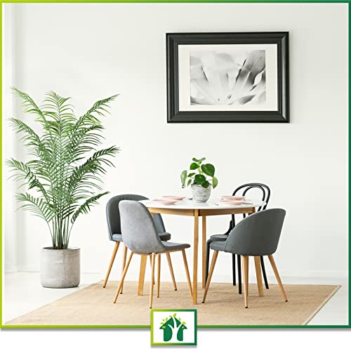 Crosofmi 5Feet Artificial Areca Palm Tree With 5.5Feet Artificial Areca Palm Plant For Indoor Entryway Decor Outdoor Home Office Gift #TOP5