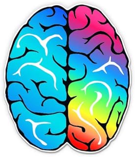 Brain Colorful Logical Creative - 3